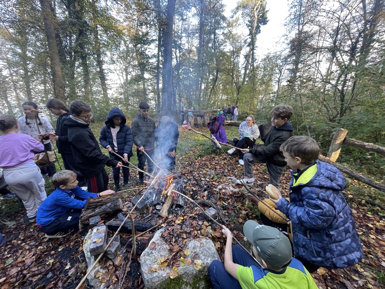 6b grillen klein